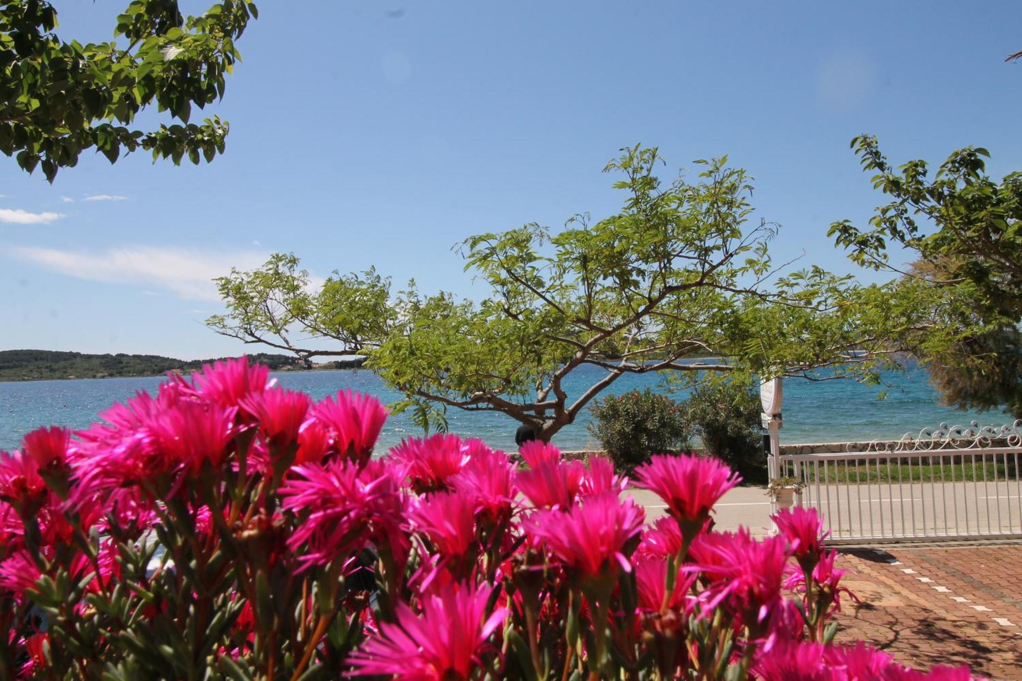 Villa Aurelia 沃迪切 外观 照片